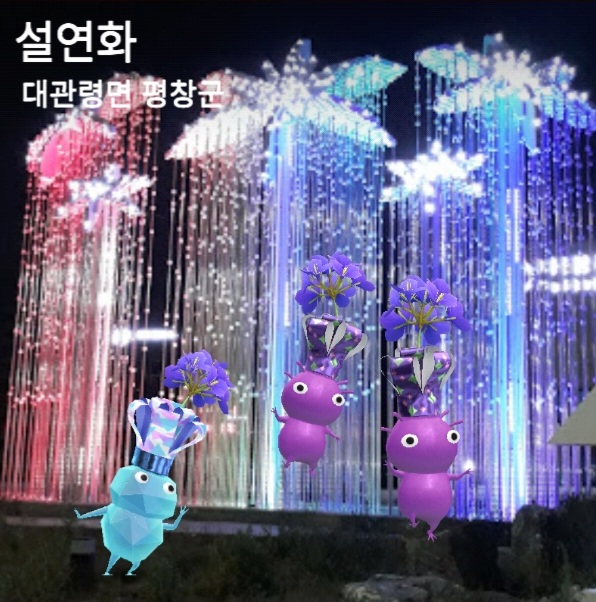 설연화