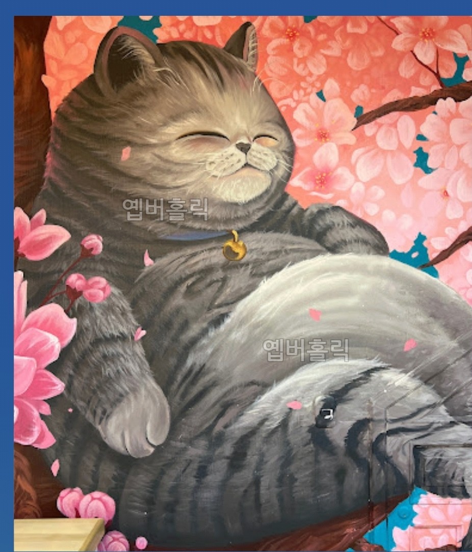 뚱냥이