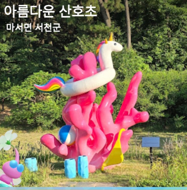 아름다운 산호초