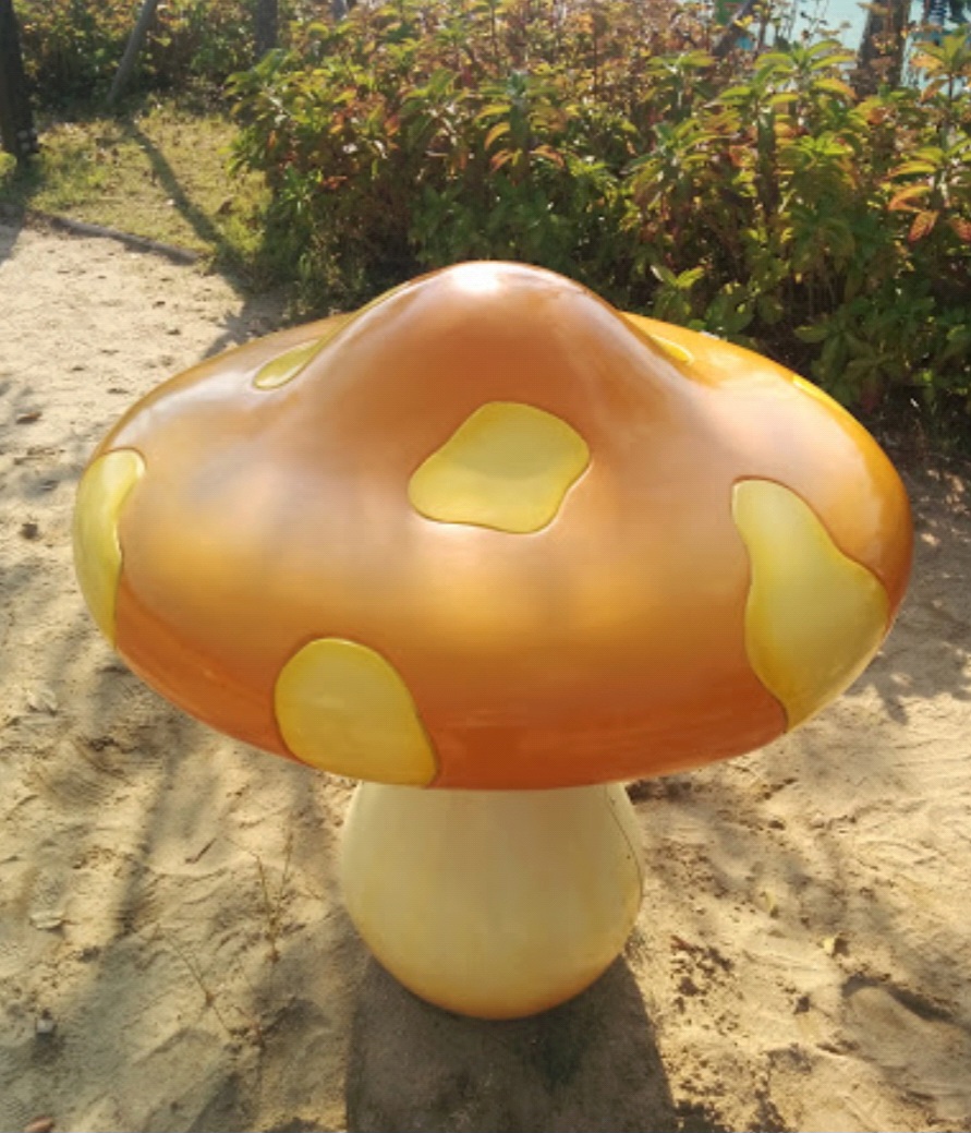 서천버섯
