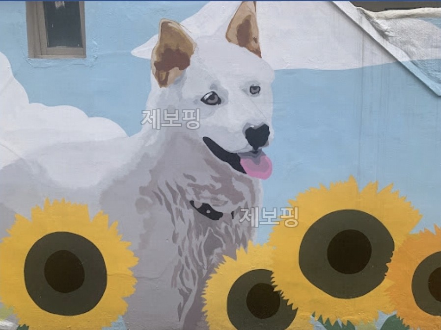 백구와 해바라기 벽화