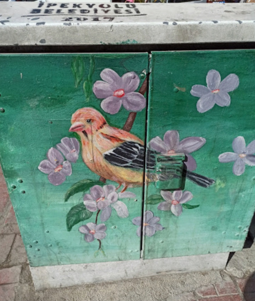 새