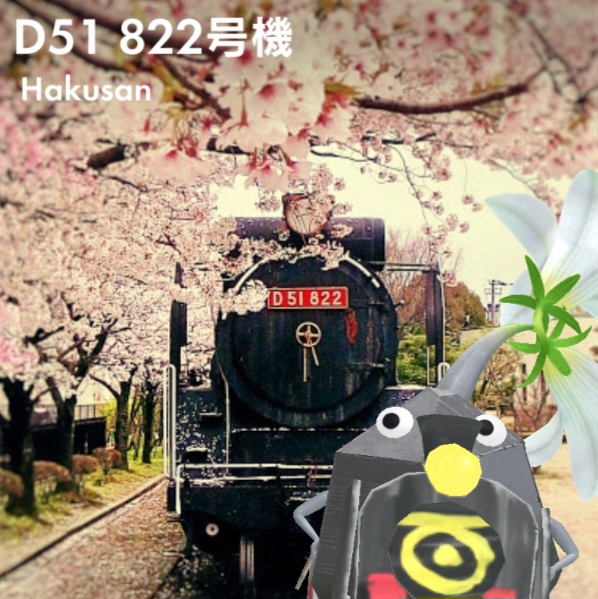 벚꽃기차D51