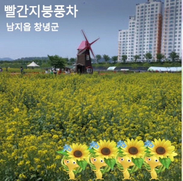 풍차