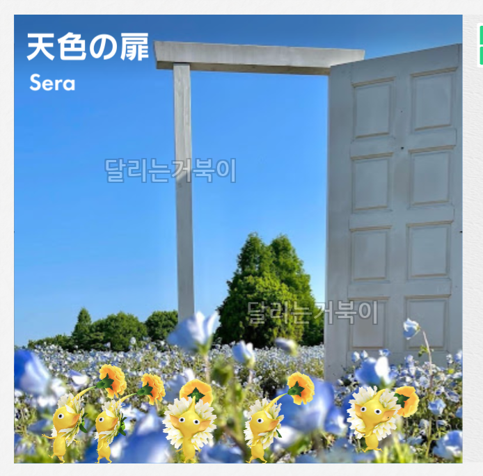 하늘빛 문