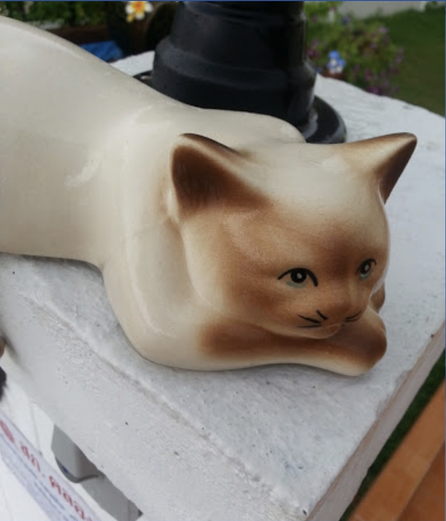 고양이