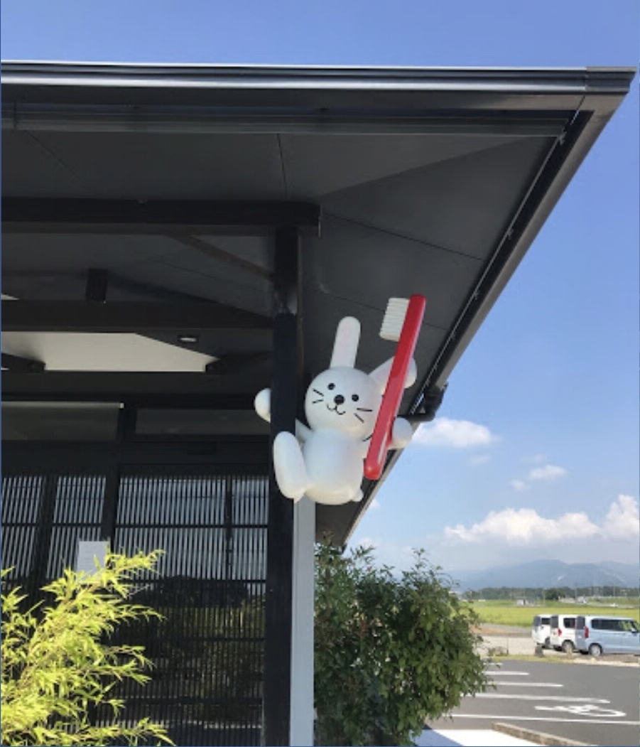 칫솔 든 토끼