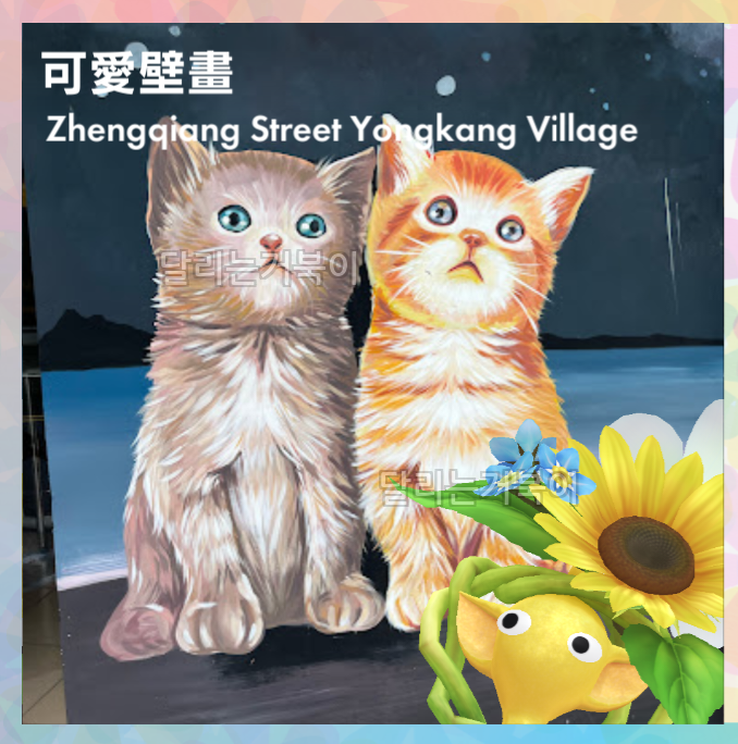 고양이 두마리