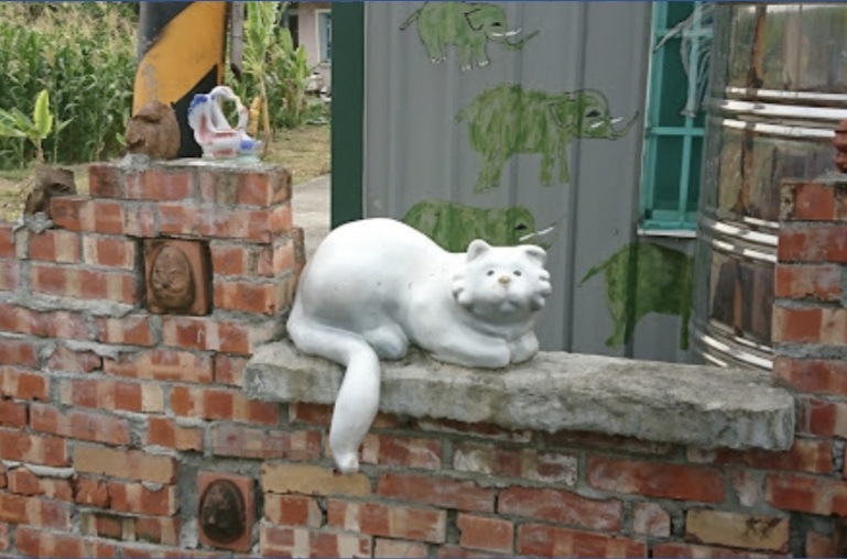 고양이
