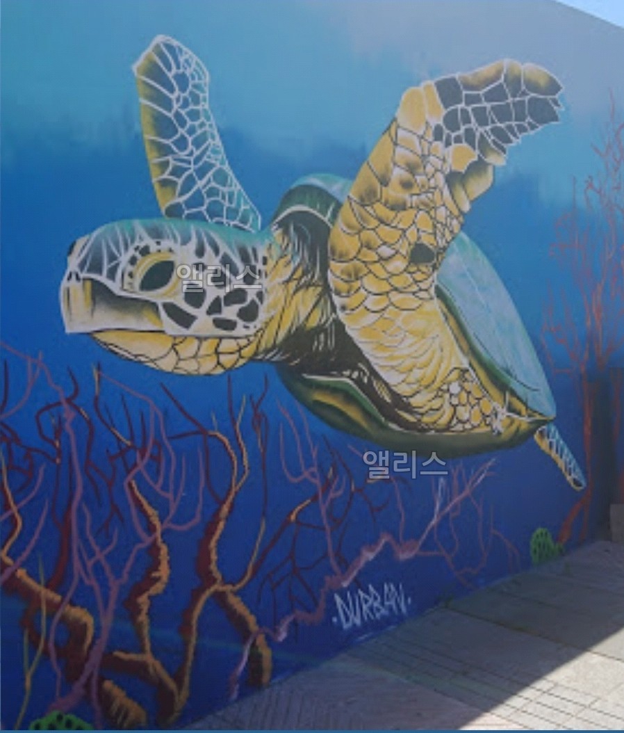 스페인 거북이 벽화
