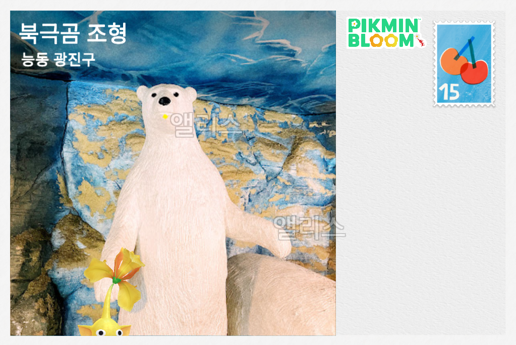 어린이대공원 북극곰