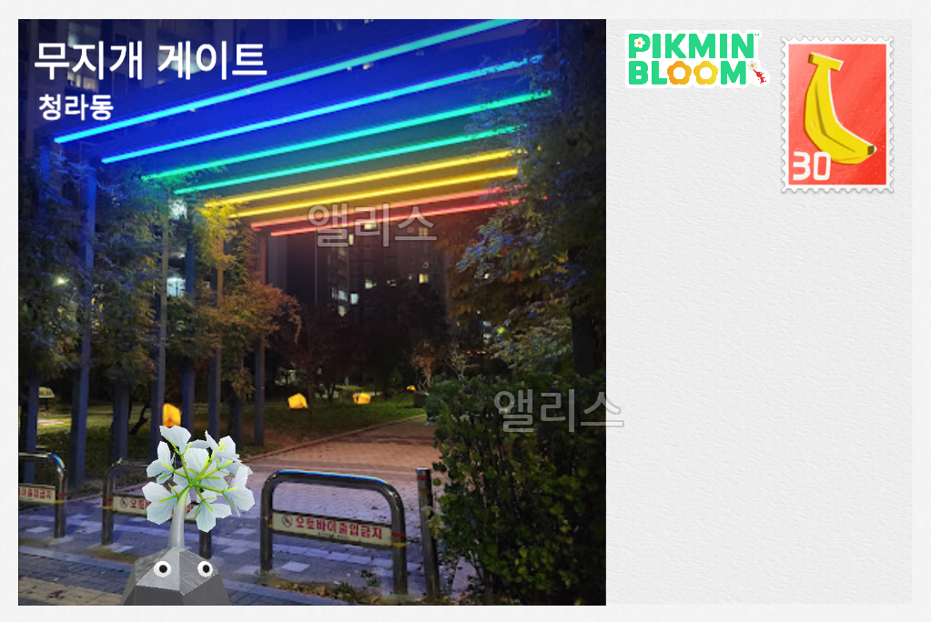 무지개 게이트