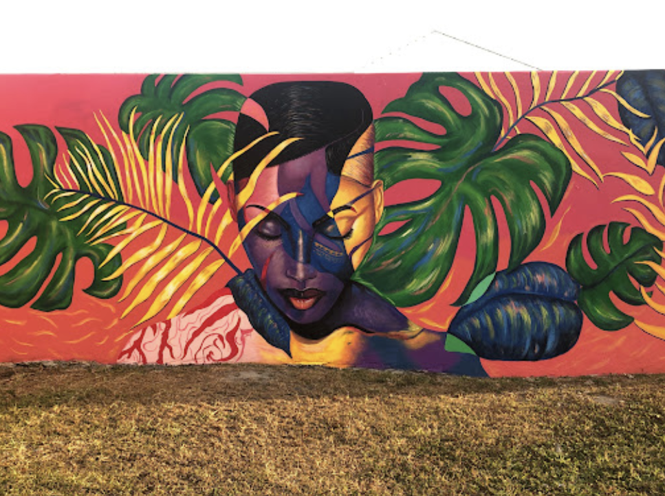 Abstract Bahamian Woman