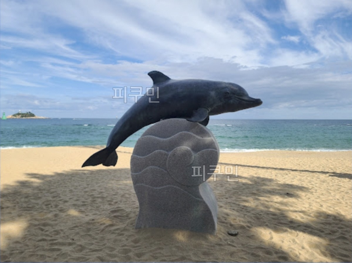 돌고래