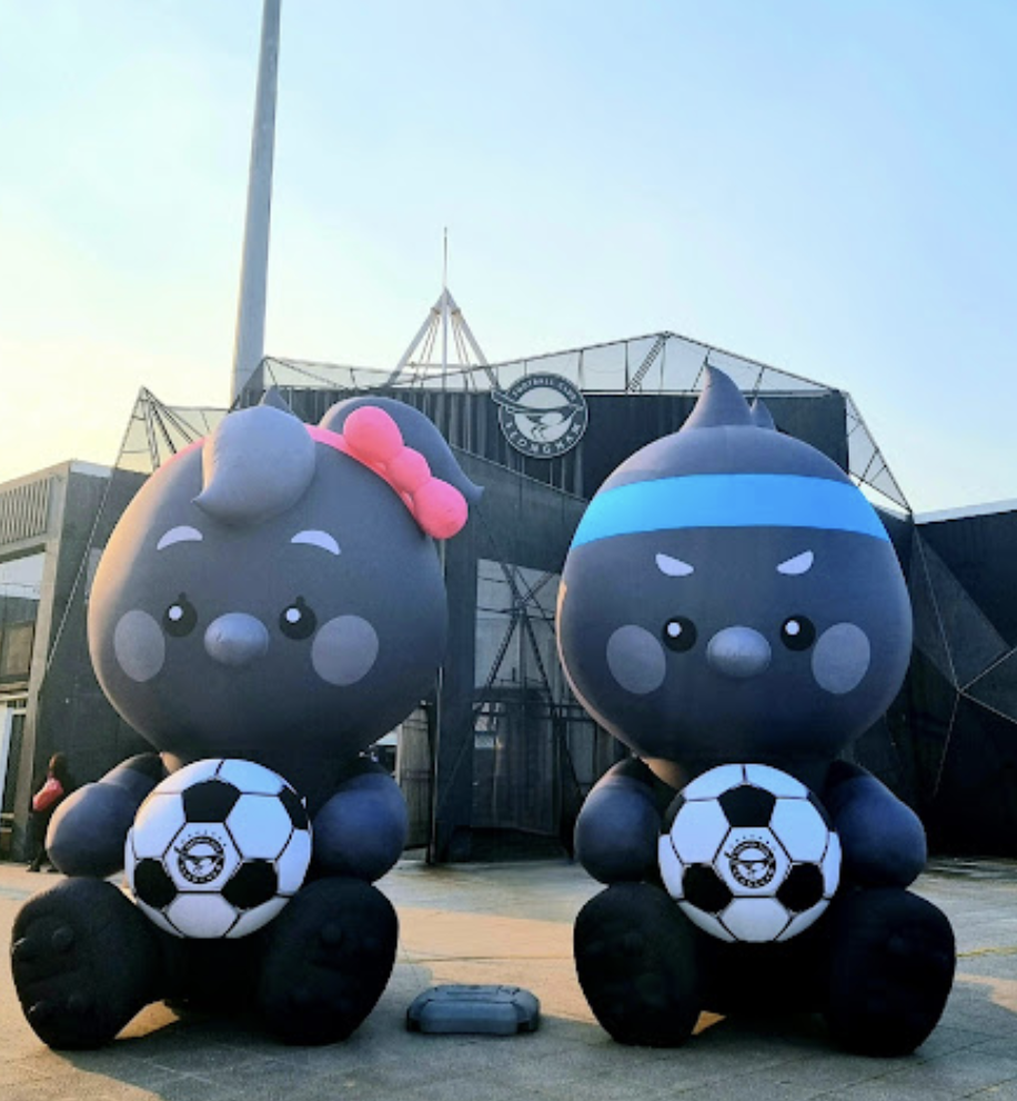 성남 FC