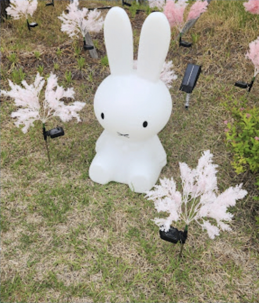 흰토끼