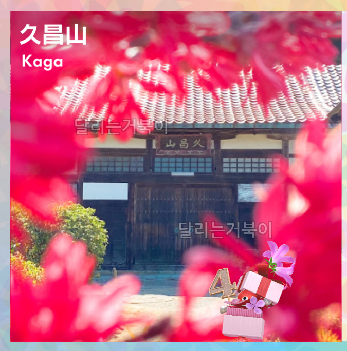 종수사 꽃