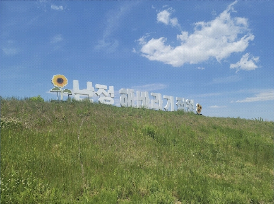 난정 해바라기 정원