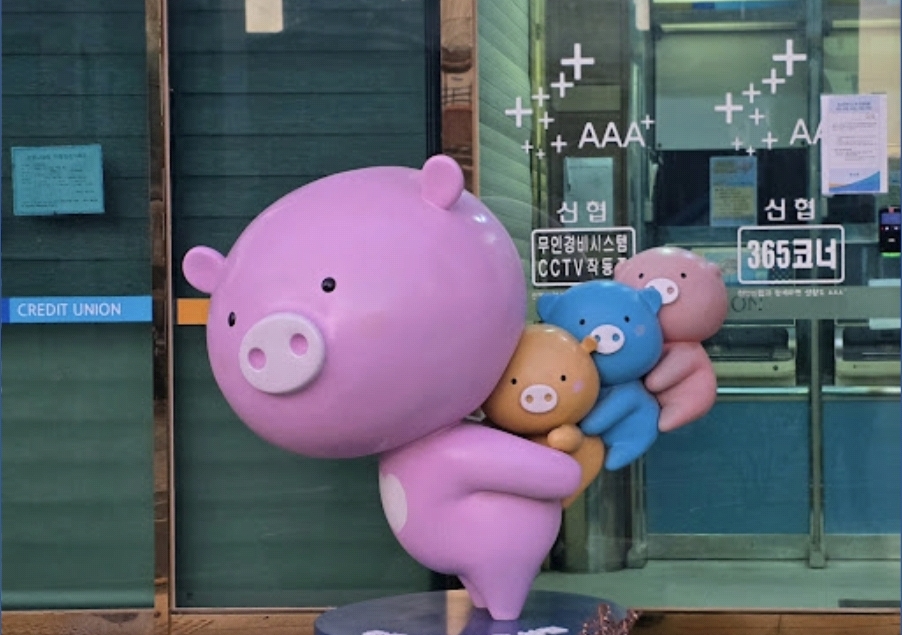 보라돼지 어부바