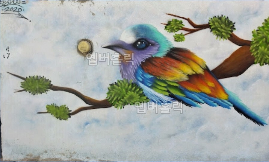 구름 위 파랑새
