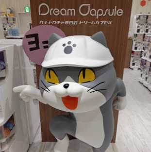일하는 고양이