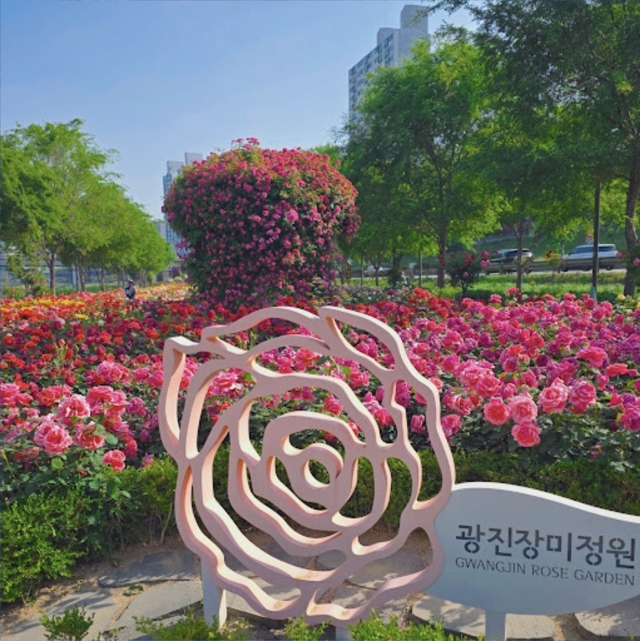 장미꽃 정원