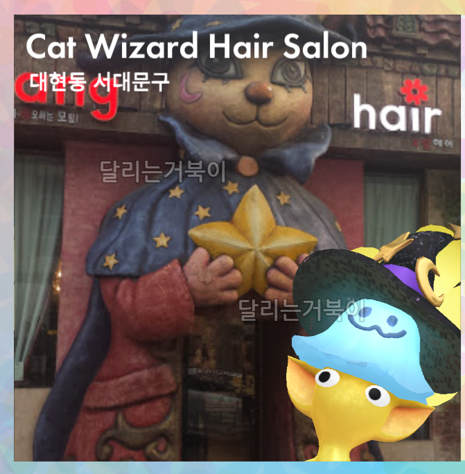 고양이 마법사