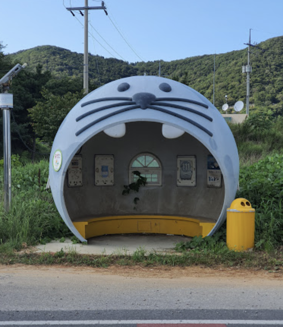 점박이물범 정류소