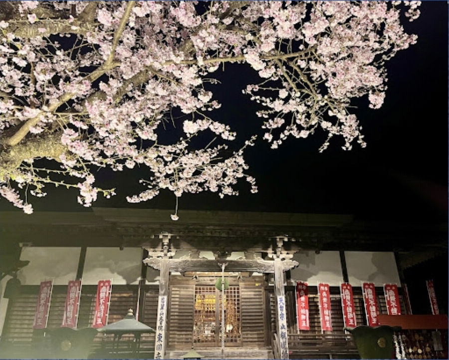 도엔지 본당