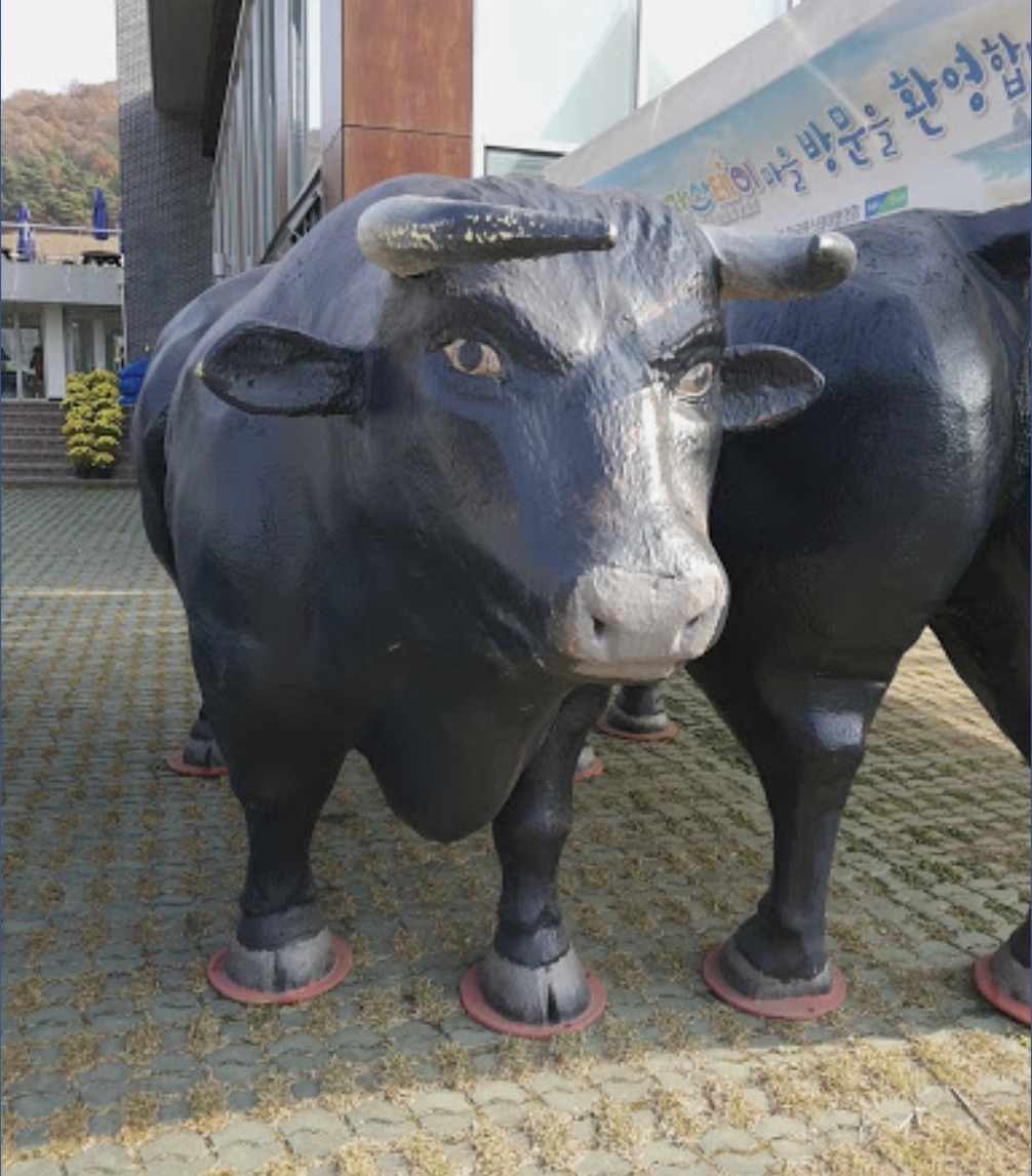 검은 소