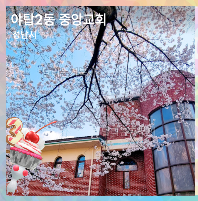 벚꽃