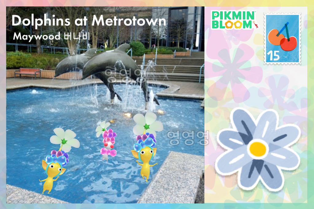 Maywood burnaby 버나비 빅플라워