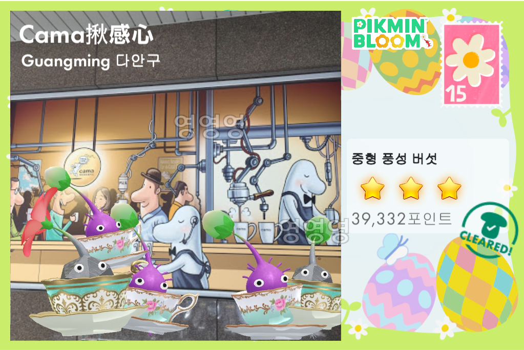 Guangming 다안구 대만 버섯